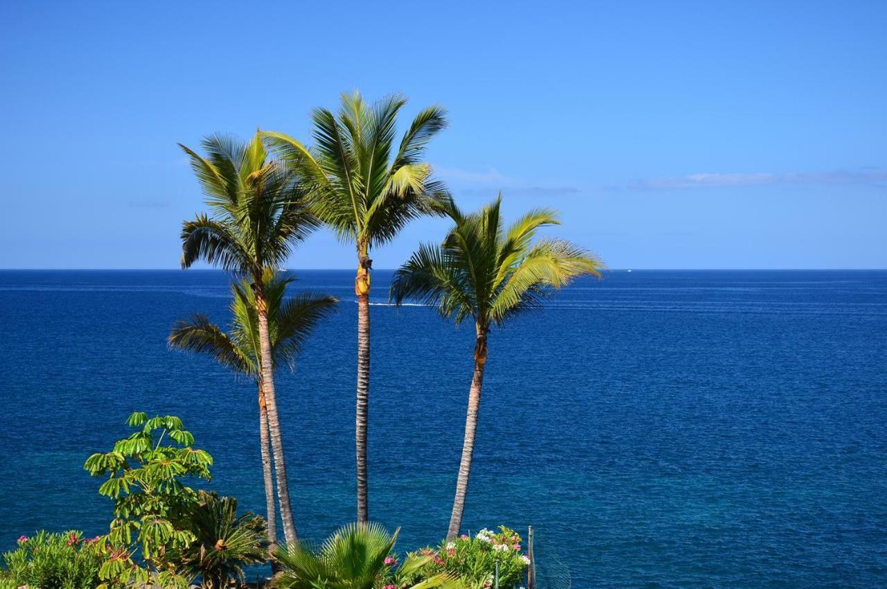 Relax Tropical Las Americas - Tenesol Rentals 美洲海滩 外观 照片